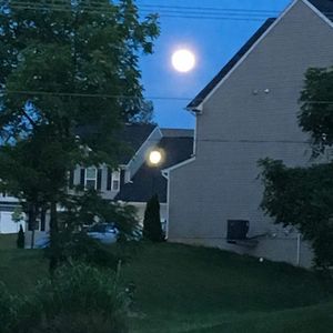 Meet your Posher, Edwin